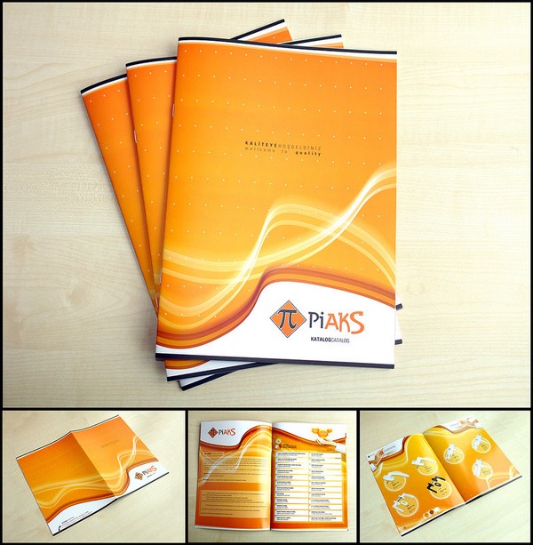 Mẫu Catalogue 5